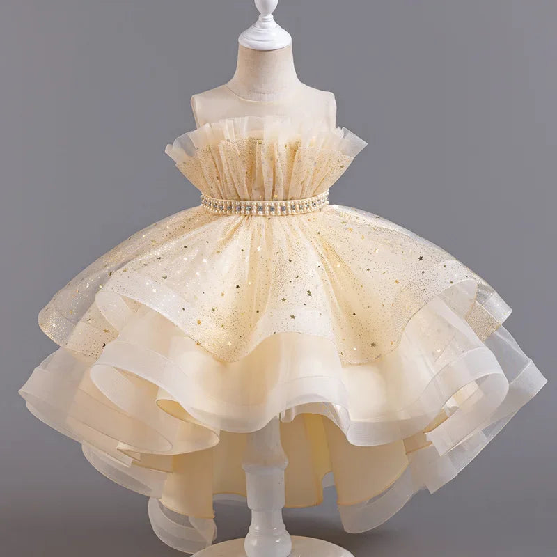 Lace Mesh Special-Occasion Dress for girls