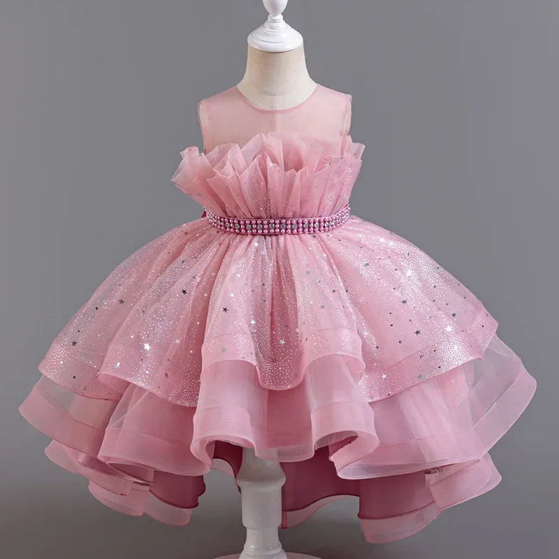 Lace Mesh Special-Occasion Dress for girls