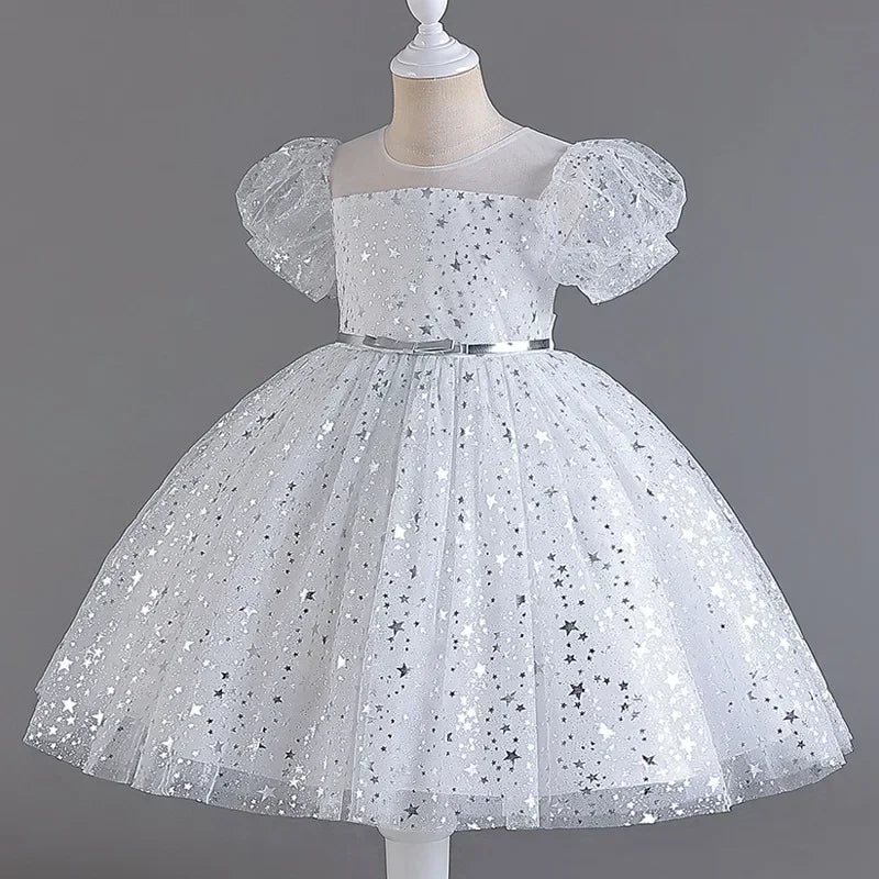 Lace Mesh Special-Occasion Dress for girls