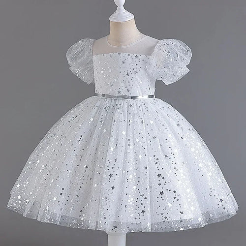 Lace Mesh Special-Occasion Dress for girls