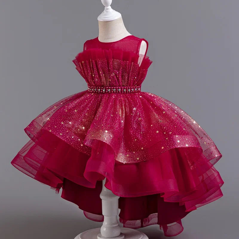 Lace Mesh Special-Occasion Dress for girls